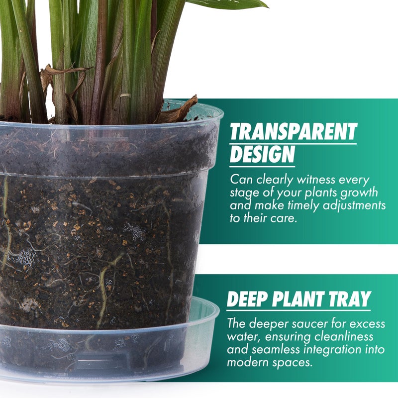 Phoenix Vine 6 Inch Clear Plastic Plant Pot with Drainage Holes, Interlocking & Detachable Tray - Deep Saucer - Durable BPA-Free Plastic, Transparent Design, Raised Base for Airflow, Set of 6, 92-X-A-5 - Image 3
