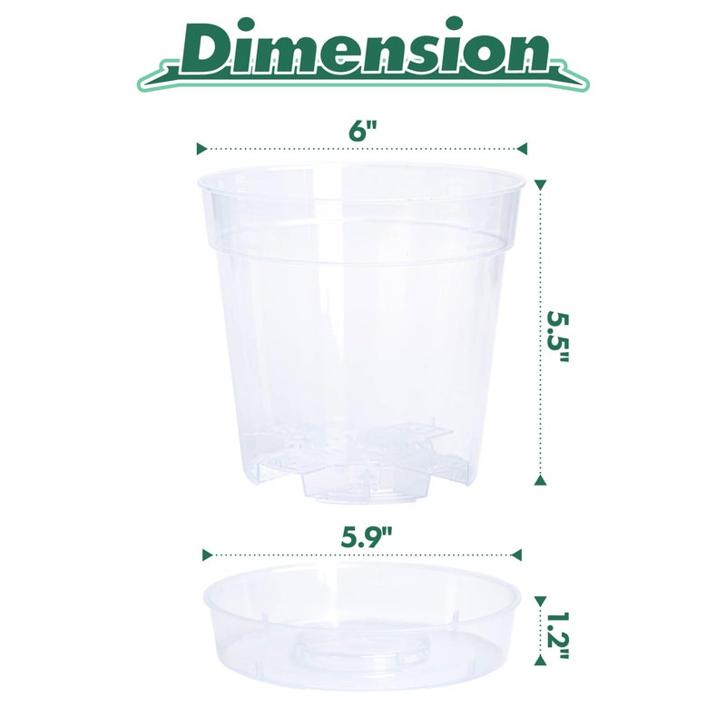 Phoenix Vine 6 Inch Clear Plastic Plant Pot with Drainage Holes, Interlocking & Detachable Tray - Deep Saucer - Durable BPA-Free Plastic, Transparent Design, Raised Base for Airflow, Set of 6, 92-X-A-5 - Image 4