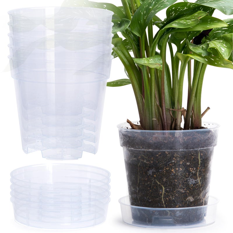 Phoenix Vine 6 Inch Clear Plastic Plant Pot with Drainage Holes, Interlocking & Detachable Tray - Deep Saucer - Durable BPA-Free Plastic, Transparent Design, Raised Base for Airflow, Set of 6, 92-X-A-5 - Image 1