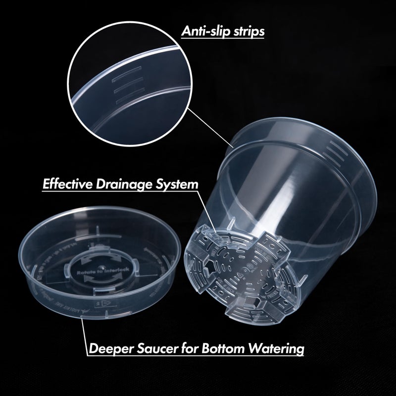 Phoenix Vine 6 Inch Clear Plastic Plant Pot with Drainage Holes, Interlocking & Detachable Tray - Deep Saucer - Durable BPA-Free Plastic, Transparent Design, Raised Base for Airflow, Set of 6, 92-X-A-5 - Image 5
