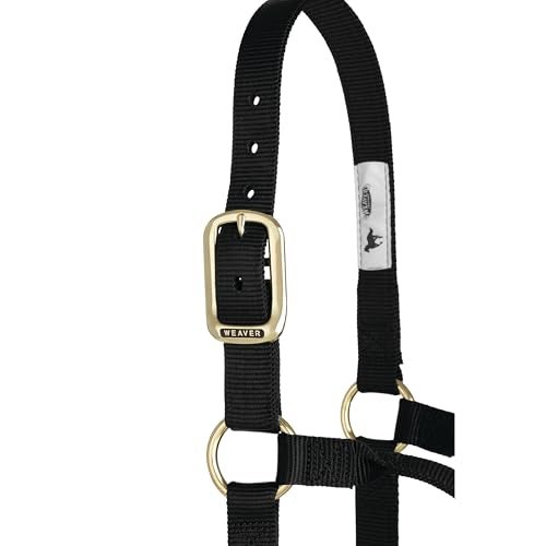 Weaver Leather Original Non-Adjustable Nylon Horse Halter, Large, Black - Image 5
