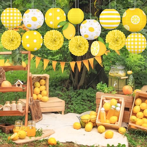 Renbuzhu 15PCS Summer Lemon Party Decorations Paper Lanterns Pom Poms Hanging Swirls Yellow Theme Lemonade Stand Italian Decor for Birthday Home Backyard Indoor Outdoor - Image 2