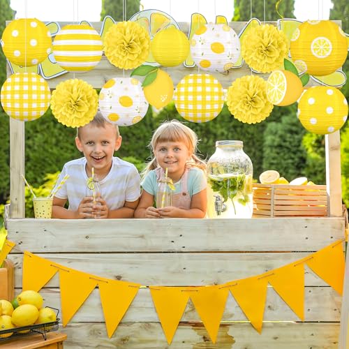 Renbuzhu 15PCS Summer Lemon Party Decorations Paper Lanterns Pom Poms Hanging Swirls Yellow Theme Lemonade Stand Italian Decor for Birthday Home Backyard Indoor Outdoor - Image 4