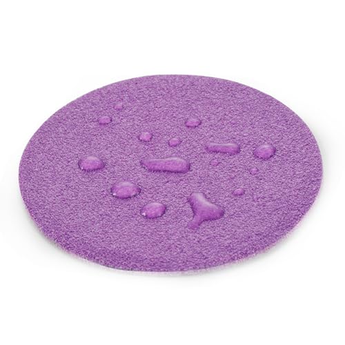 Arilier 3 Inch Sanding Disc 40Pcs, 3000 Grit Sandpaper, Drill Sanding Attachment, Wet Dry Hook and Loop Sandpaper Discs for Random Orbital Sanders, Alumina Sand Paper for Wood, Metal, Automotive - Image 2