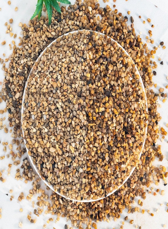 VINICS 5 lbs Aquarium Gravel, 2-4mm Fish Tank Gravel, Succulent Cactus Pea Gravel for Indoor Plants, River Rocks for Gardening, Flower Pots, Vase Fillers, Garden Landscaping - Image 1
