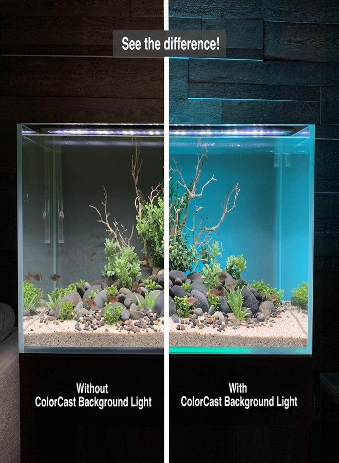 كارانت طقم إضاءة خلفية LED ذكية لأحواض السمك من ColorCast مع غشاء خلفية غير لامع | تحكم عبر الهاتف الذكي والصوت | مؤقتات تعمل على مدار الساعة | متوافق مع Alexa وGoogle Home | لأحواض السمك، وأحواض الزواحف، وأحواض الزينة | 18-32 بوصة - Image 2