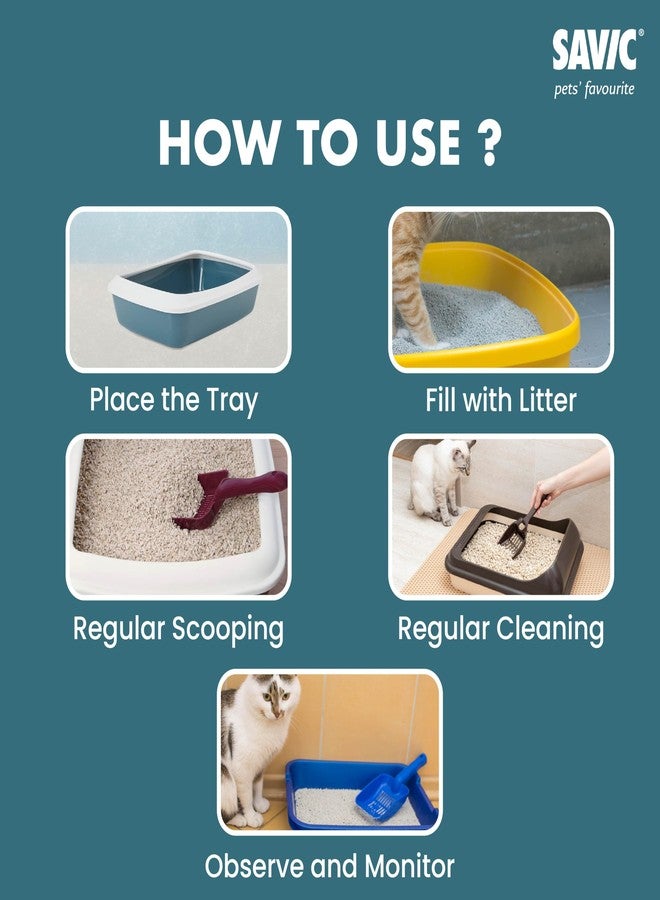 Savic Iriz Cat Litter Tray with Rim for Indoor Cats, Open Anti-Scatter Cat Toilet Box, Easy-Clean Hygienic Durable Plastic Litter Tray for Daily Use (White-Bluestone, 43 × 30.5 × 13 cm) - Image 4