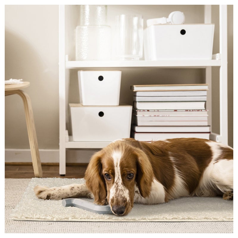 Baitique High-Pile Shaggy Rug, Polypropylene, Off-White, 80x80 cm - Image 5