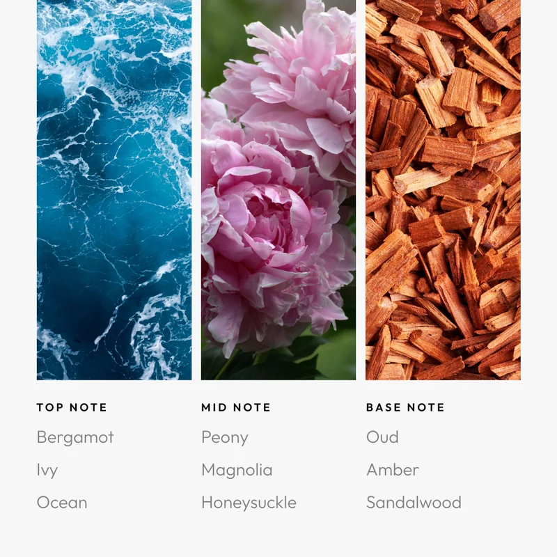 Aroma360  Mother Ocean Pro-Pod Oil Blend - Hotel Inspired for Luxury Essential Oil Diffusers - Aromatherapy Scent Diffuser Oil - Ocean, Peony, and Sandalwood - 50 mL, 1.7 fl oz  | Best Price UAE