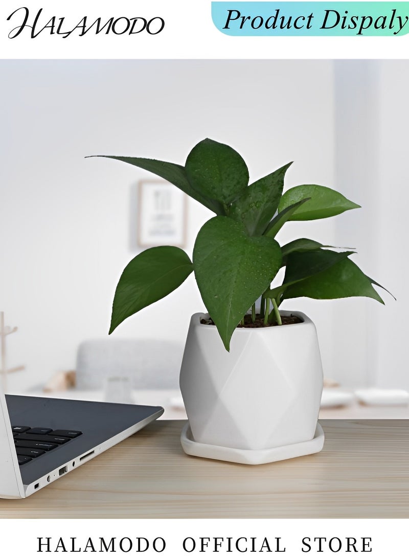 HALAMODO - 2PCS Plant Pots Ceramic Flower Planters Indoor Modern Succulents Containers with Drainage Hole and Saucer Decoration for Home Office - Image 1