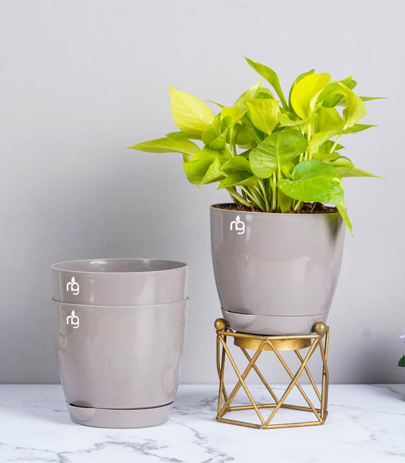 Nurturing Green® Combo of 3 Self Watering Flower Pots for Living Room & Home Decor | Plastic Plant Pots for Indoor, Balcony & Garden (Color: Mocha, Size: 14cm x 12.5cm Each) - Image 1