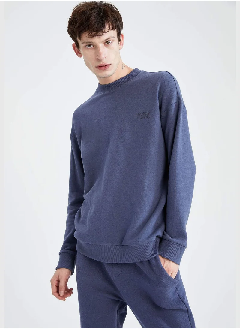 DeFacto Regular Fit Crew Neck Long Sleeve Sweatshirt