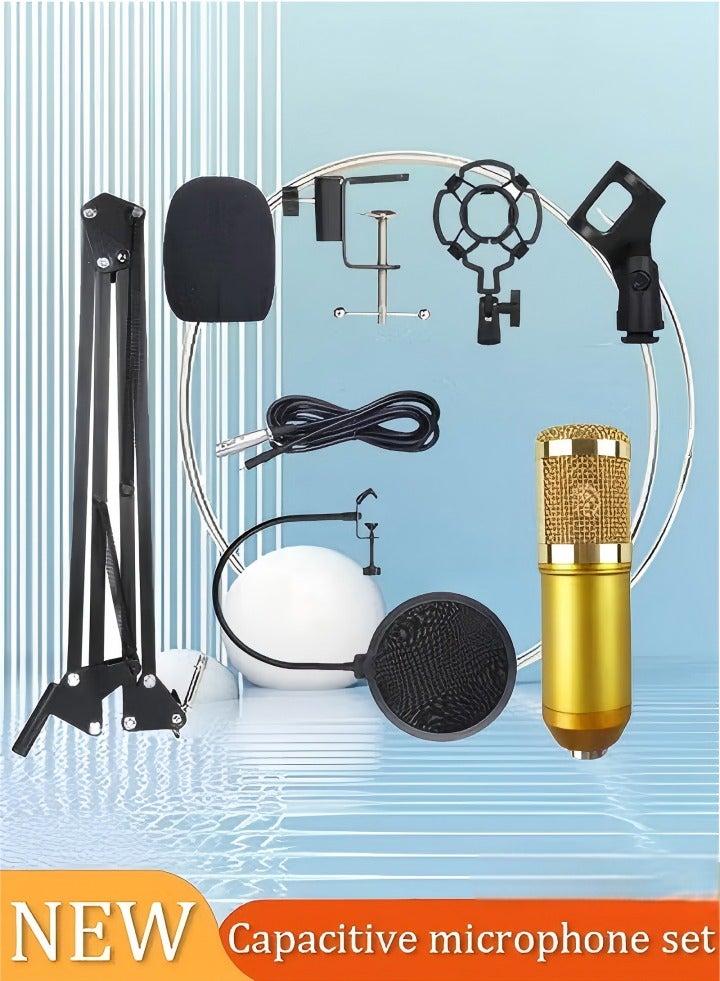BM800 Professional Suspension Microphone Kit, Live Broadcasting Recording Condenser Microphone Set, Adjustable Mic Suspension Scissor Arm  - Image 1