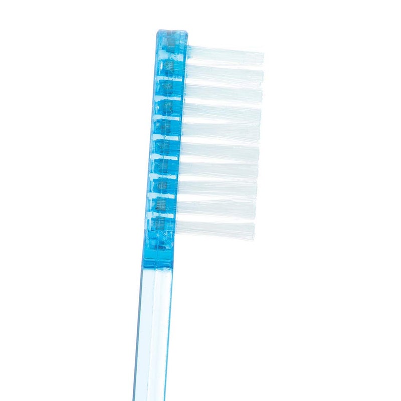 SmileMakers Adult Pre-Pasted Disposable Toothbrushes - 288 per pack - Image 3