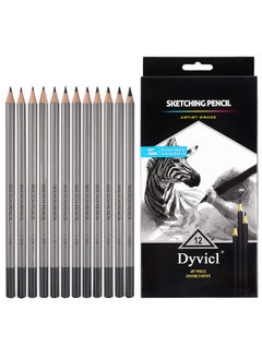 Professional Drawing Sketching Pencil Set 12 Pieces Drawing Pencils 10B, 8B, 6B, 5B, 4B, 3B, 2B, B, Hb, 2H, 4H, 6H Graphite Pencils For Beginners & Pro Artists