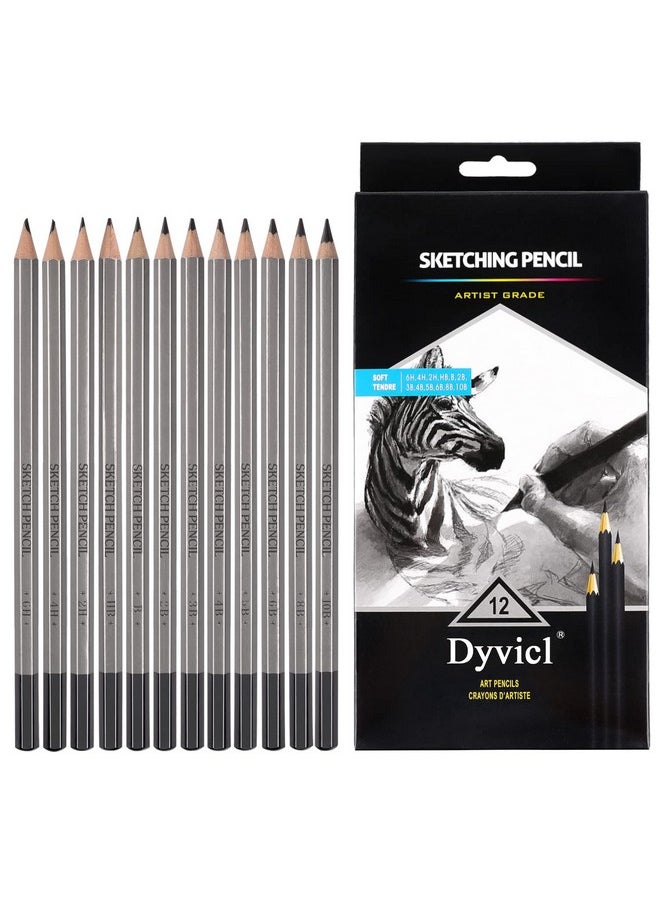 Dyvicl - Professional Drawing Sketching Pencil Set 12 Pieces Drawing Pencils 10B, 8B, 6B, 5B, 4B, 3B, 2B, B, Hb, 2H, 4H, 6H Graphite Pencils For Beginners & Pro Artists - Image 1