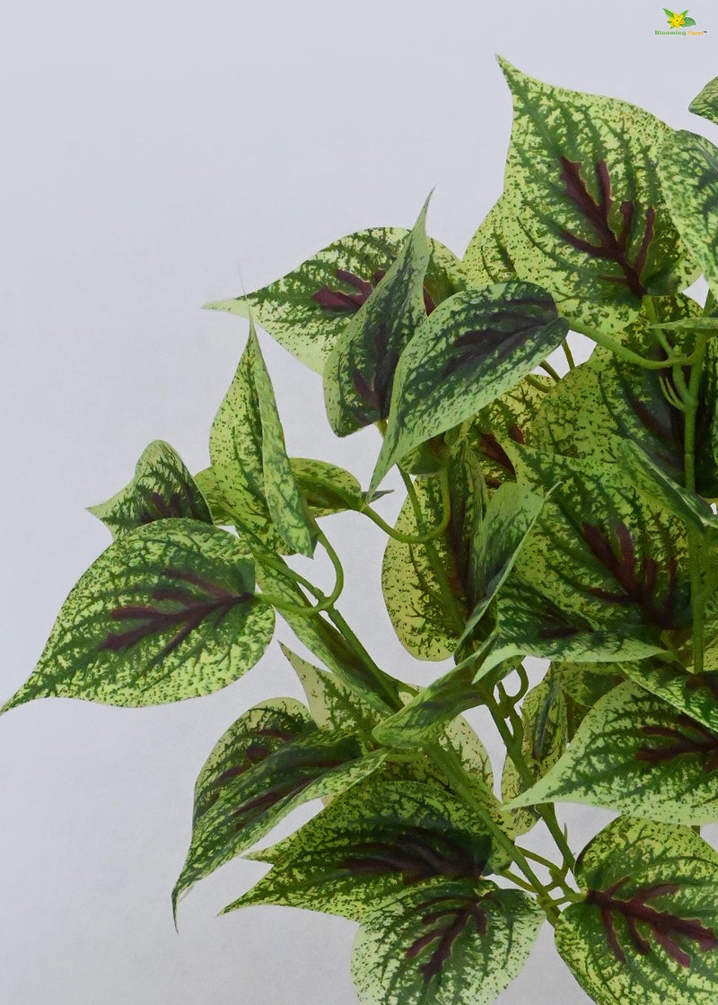 Blooming Floret Artificial Dragon Heart Coleus 48.3 cm Short Plant for Interior Decor/Home Decor/Office Decor/Gifting | with Basic Black Pot | Ornamental Plant | Natural Looking | Durable - Image 2