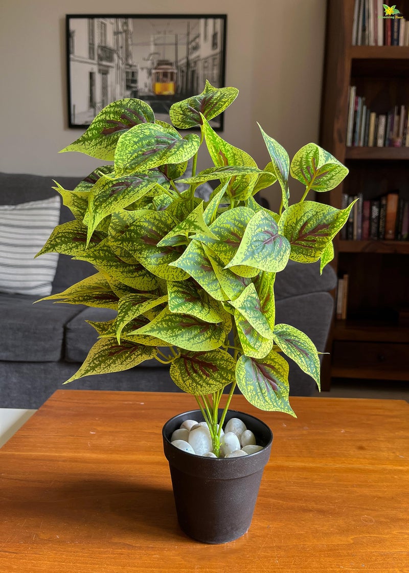 Blooming Floret Artificial Dragon Heart Coleus 48.3 cm Short Plant for Interior Decor/Home Decor/Office Decor/Gifting | with Basic Black Pot | Ornamental Plant | Natural Looking | Durable - Image 1