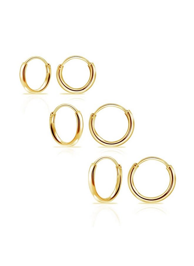 - 3 Pairs 925 Sterling Silver Small Endless Hoop Earrings For Cartilage/Nose/Lips, 8Mm 10Mm 12Mm Yellow Gold - pzsku/Z4EF004500E149714E91DZ/45/_/1735214609/2199e127-d011-4304-b68c-4c8f51138330