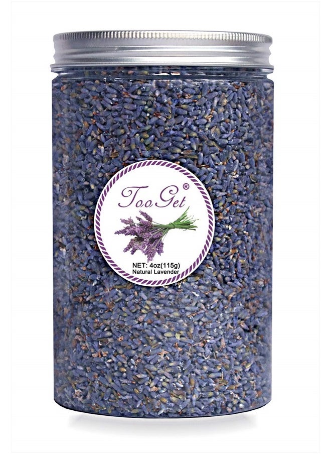 TooGet Culinary Dried Lavender Buds, 100% Raw Highland Grow Lavender Flowers, Ultra Blue Premium Grade Lavender with Food Grade PET Plastic Bottle (4 OZ)  - Image 1