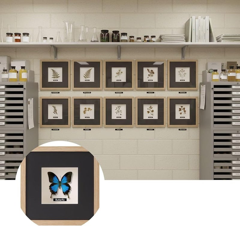 حافظة عرض فراشة باللون الخشبي الأصلي مقاس 5 × 7 بوصة مع حصيرة لهواة الجمع - Image 3