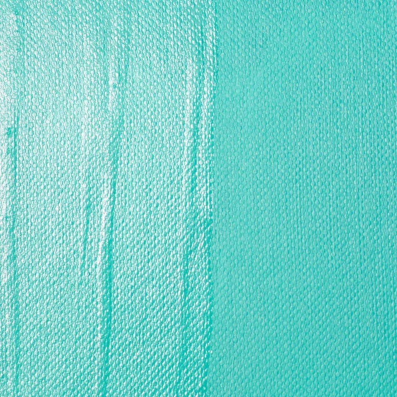 Liquitex ورنيش ساتين احترافي من ليكويتكس - 32 أونصة سائلة (946 مل) - أرشيفي، غير مصفر، مقاوم للماء لإنهاء الأكريليك - Image 2
