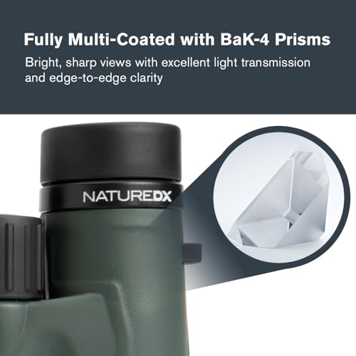 Celestron - Nature DX 8x32 Binoculars – Ideal for Birding and Outdoors – 32mm Objective Lenses – Wide 7.4° Field of View – BaK-4 Prisms – Fully Multi-Coated – Waterproof and Fogproof - Image 3
