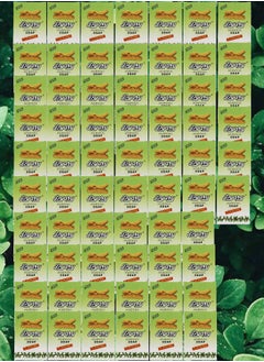 Pyary 66 Pieces Turmeric Soap All Natural Hand Crafted Vegan Ayurvedic 
