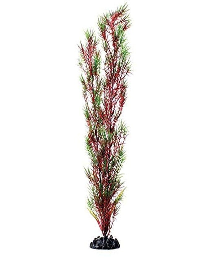 Underwater Treasures Red/Green Springeri - 16" - Image 1