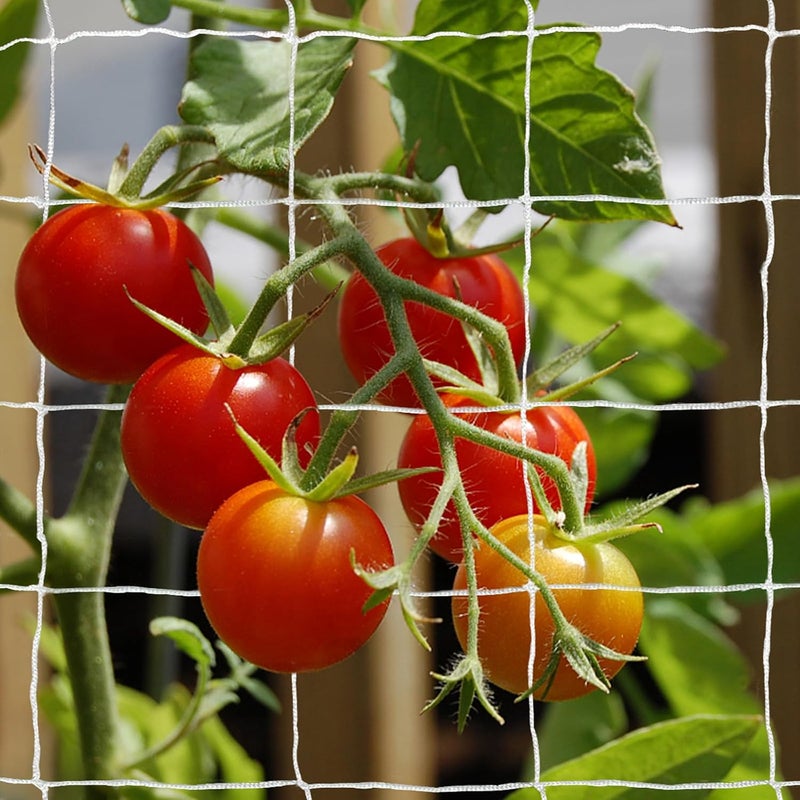 Tcamp Trellis Netting for Climbing Plants, Cucumber Trellis for Garden (5Ft x30Ft, 6" Square Mesh Ployester, 2 Pack) - Image 1