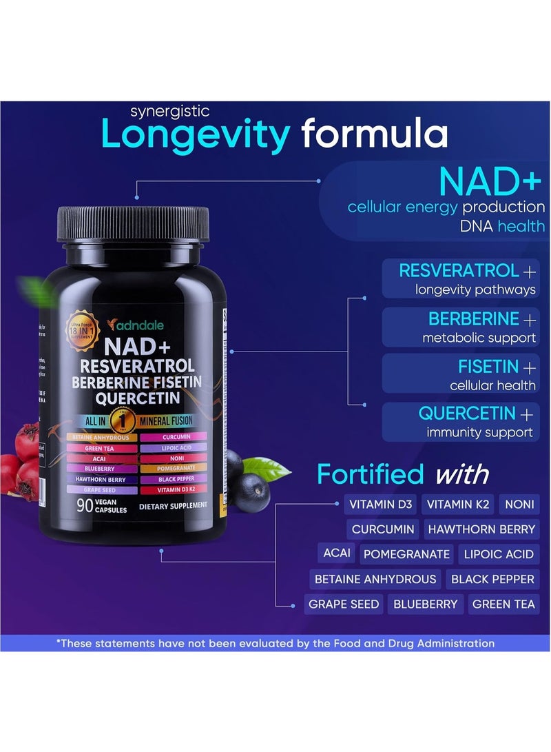 متجر أدندال مكمل NAD. تركيبة لإطالة العمر مع ليبوسومال NAD+، ريسفيراترول ترانس، كيرسيتين، بربارين، بيتايين لا مائي، بذور العنب، فيسيتين. مكمل NAD ريسفيراترول مع بربارين، 90 كبسولة. - Image 3