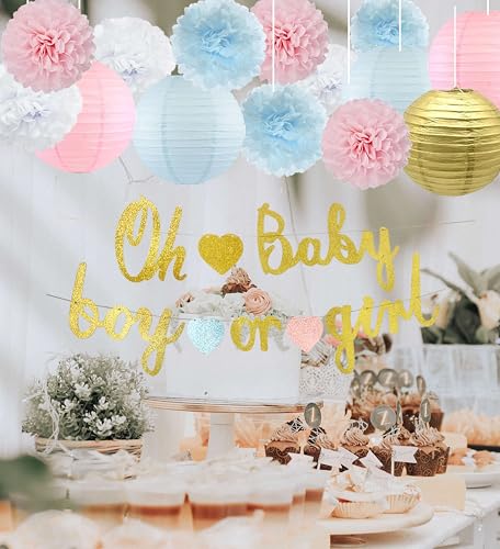 Kiwayo Baby Gender Reveal Decorations Kit- Oh Baby Boy or Girl Banners, PomPoms, Lanterns, Circle Dot & Tassels Garland- Pink and Blue Theme Party Supplies for Baby Shower, Gender Reveal Games Décor - Image 4