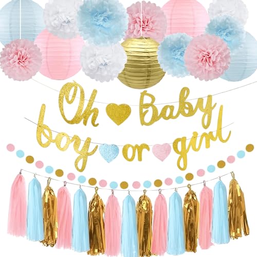 Kiwayo Baby Gender Reveal Decorations Kit- Oh Baby Boy or Girl Banners, PomPoms, Lanterns, Circle Dot & Tassels Garland- Pink and Blue Theme Party Supplies for Baby Shower, Gender Reveal Games Décor - Image 1
