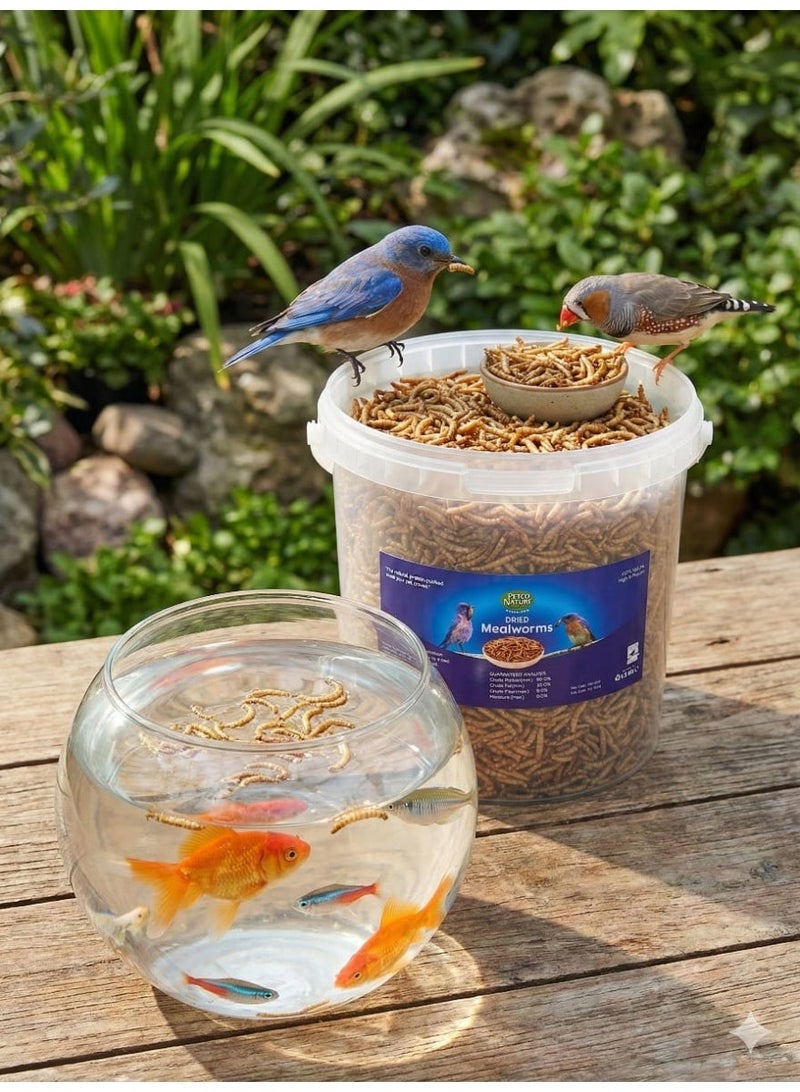 GOLDEN CAT Petco Nature Dried Mealworms 1.5 KG – Natural High-Protein Treat for Birds, Poultry, Fish, Reptiles & Small Pets - Image 2