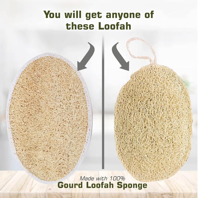 Old Tree Oval Body Loofah (Pack of 8) for Men and Women - Natural Scrubber for Bathing - For All Type of Skin -Biodegradable and Eco-Friendly Natural Scrubber - Image 2
