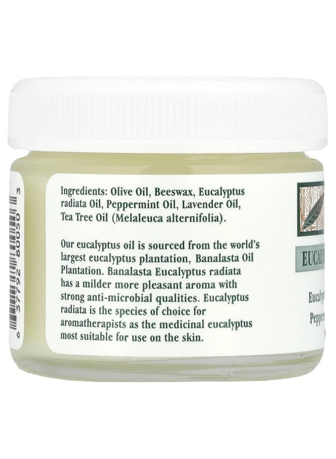 Tea Tree Therapy علاج شجرة الشاي، مرهم الكينا، 2 أونصة (57 غرام) - Image 2