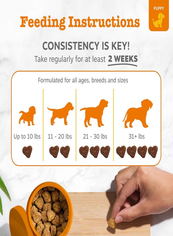 Zesty Paws Puppy Probiotics for Dogs - for Digestive Health, Gut Flora & Immune System Support - Dog Probiotics for Puppies with Bacillus subtilis & Pumpkin - 90 Count - Image 4