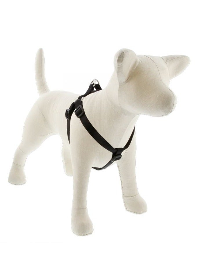 حزام الكلب الأساسي السادة - أسود