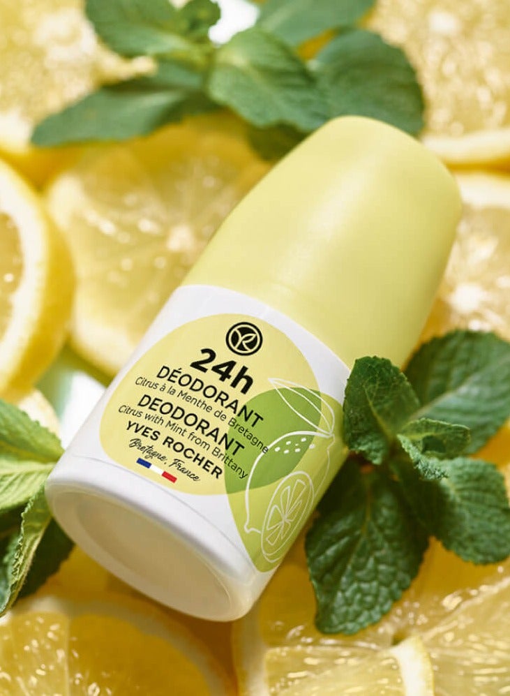 Yves Rocher Deodorant Trio: Chamomile, Citrus Mint, and Cotton Mallow - Image 4