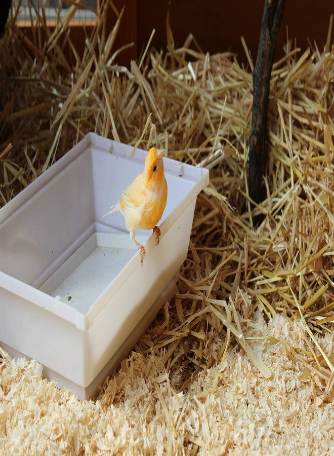 عشب AVIANS الطبيعي العضوي، منتقى يدويًا ومعالج خصيصًا للطيور والحيوانات الأليفة، يُستخدم كفراش طبيعي، وللمضغ، واللعب، ولتحفيز وضع البيض وتفقيسه. وزن 250 غرام، لون ذهبي. - Image 2