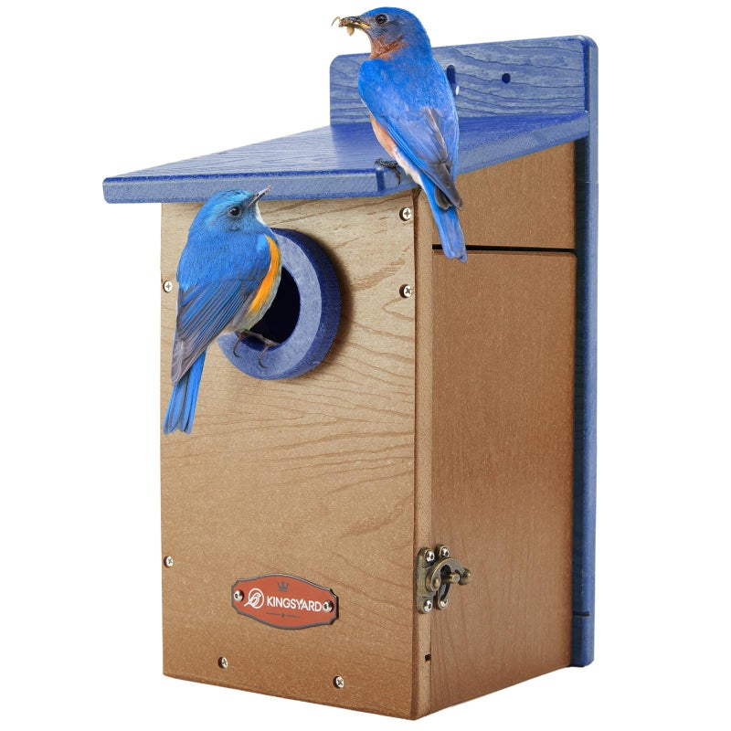 Kingsyard Recycled Plastic Bird House for Outdoor - Durable Nesting Box with Clear View Panel & Predator Guard for Bluebird Wren Swallow Finch, Blue & Brown - Image 1