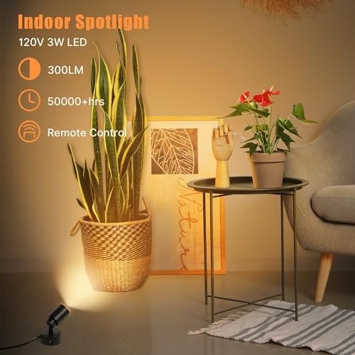 Kandicyar LED Spotlights Indoor, 5W Plants Uplighting with Remote Control Dimmable & Timer, Uplights Indoor Floor Spot Lights for Painting, Picture, Artwork, Accent Stick on Wall Light with 5.9 FT Plug Cord - Image 2