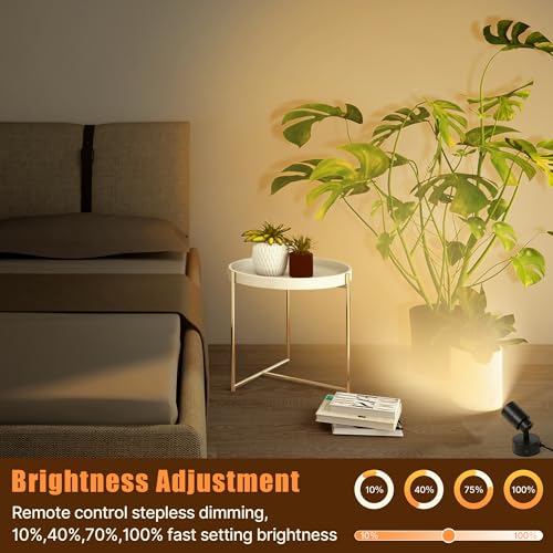 Kandicyar LED Spotlights Indoor, 5W Plants Uplighting with Remote Control Dimmable & Timer, Uplights Indoor Floor Spot Lights for Painting, Picture, Artwork, Accent Stick on Wall Light with 5.9 FT Plug Cord - Image 5