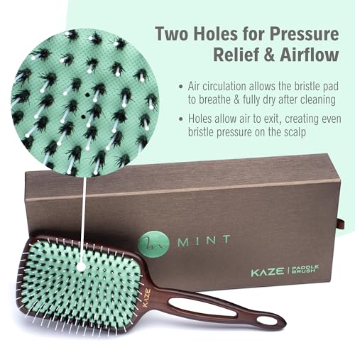 Mint Eco-Friendly Boar Bristle Paddle Hair Brush for Women by MINT | Anti-Breakage Detangling Brush Great for Color-Treated Hair, Extensions and All Hair Types | Hand-Crafted Wooden Handle - Image 5