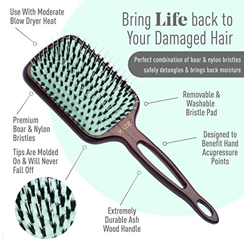 Mint Eco-Friendly Boar Bristle Paddle Hair Brush for Women by MINT | Anti-Breakage Detangling Brush Great for Color-Treated Hair, Extensions and All Hair Types | Hand-Crafted Wooden Handle - Image 3
