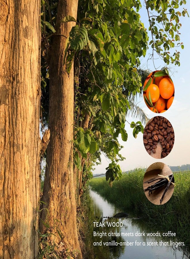 Mistral Men's Body Wash & Shampoo, Teakwood 13.5 oz | 2-in-1 Natural Shower Gel for Men | SLS, Paraben & Phthalate Free | Natural Men’s Body Wash, Moisturizing Bath Gel - Made in France - Image 5