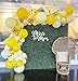 Baolaiballoon 124pcs Yellow Balloon Arch Kit Lemon Daisy Honeybee Theme Yellow and Gold Balloons for Birthday Parties Wedding Baby Shower Party Anniversary Party Decoration - Image 3