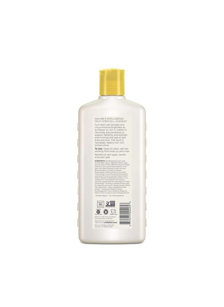 Andalou Natural Andalou Sunflower & Citrus Brilliant Shine Conditioner  - Image 2