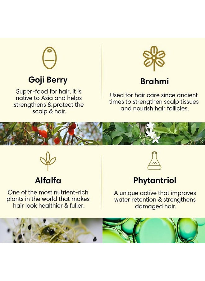 THE EARTH COLLECTIVE - Hair Cleanser For Nourishing Hair | Goji Berry, Alfalfa And Brahmi Improve Hair Nourishing | Reduce Hair Fall | Strengthen Hair | Paraben Free | No Harmful Chemical | Pack Of 200Ml - Image 1
