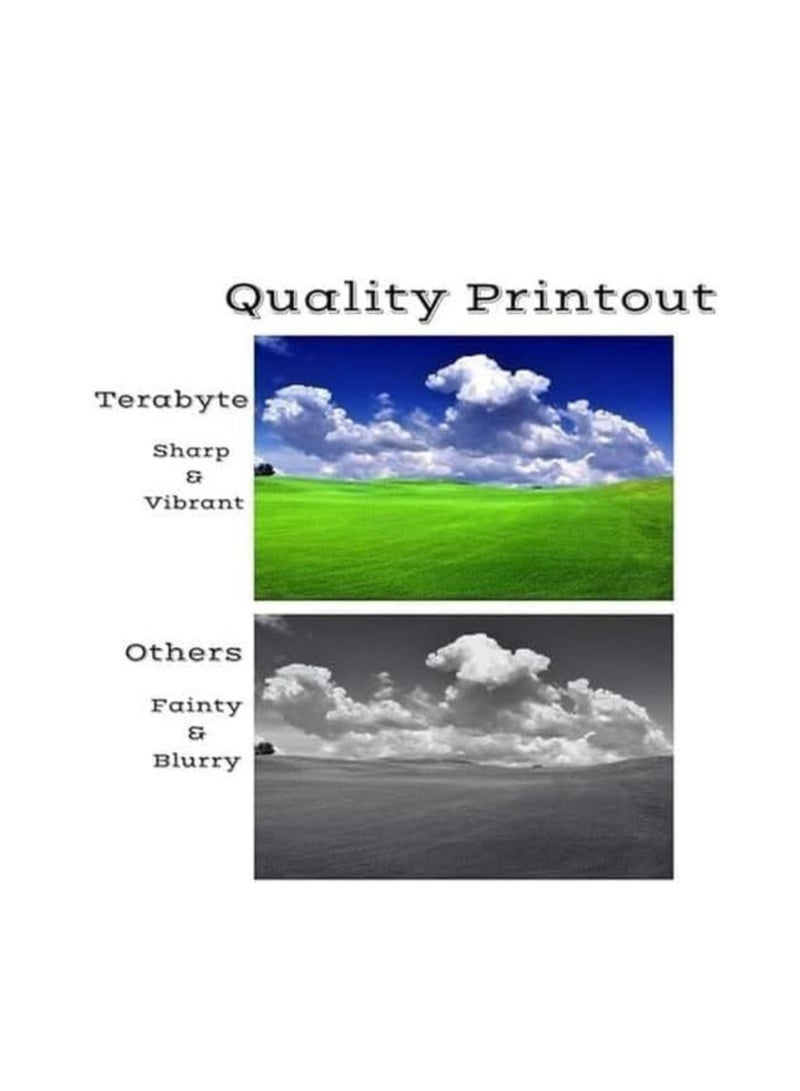 Terabyte 414A Compatible W2023A Compatible Toner Cartridges for Color Laserjet Pro MFP M479fdw M454dw M479fdn M479dw M454dn Printers (1 Magenta) - Image 2